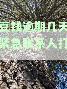 豆豆钱逾期几天会给紧急联系人打电话