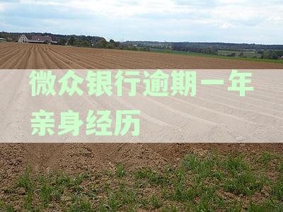 微众银行逾期多久会被起诉及账户车贷冻结情况解析