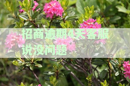 招商逾期4天客服说没问题是真的吗：逾期影响与客服表述分析