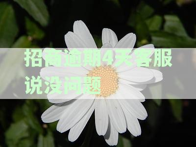 招商银行逾期4天客服说不会影响征信,行么逾期6天影响吗