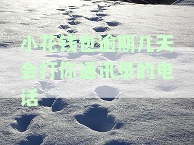 小花钱包逾期几天会打你通讯录的电话嘛，2021违法吗
