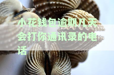 小花钱包逾期第二天不还会不会爆通讯录？逾期两天如何应对？