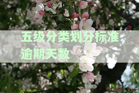 五级分类划分标准逾期天数关注及其对应关系