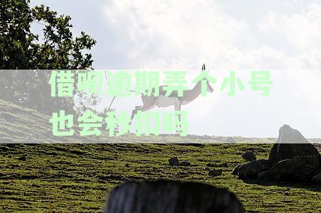 借呗逾期弄个小号也会秒扣吗绑定银行卡有影响吗