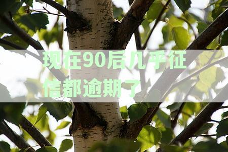 5月1日起取消征信逾期记录：针对个人和企业，意味着逾期记录保持三年制将调整