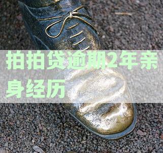拍拍贷逾期了会上征信吗：影响信用怎么办？