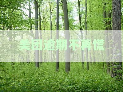 逾期多少钱才会立案:网贷、信用卡、借呗、放心借对比