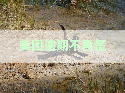 美团逾期了怎么办会造成什么后果 美团逾期后果分析