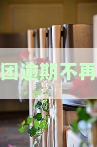 美团逾期不再慌
