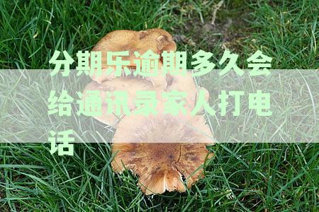 分期乐逾期多久会给通讯录家人打电话