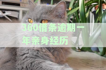 逾期会怎么样 可以逾期多久 上征信吗 逾期多久会被起诉