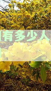 全国有多少人负债逾期还不上房贷,中国有多少人负债还不起逾期,2021中国有多少人负债逾期的合并标题为:全国有多少人负债逾期还不上房贷,2021中国有多少人负债逾期。