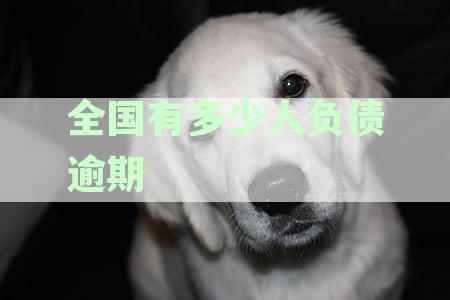 全国有多少人负债逾期超过2年的情况分析