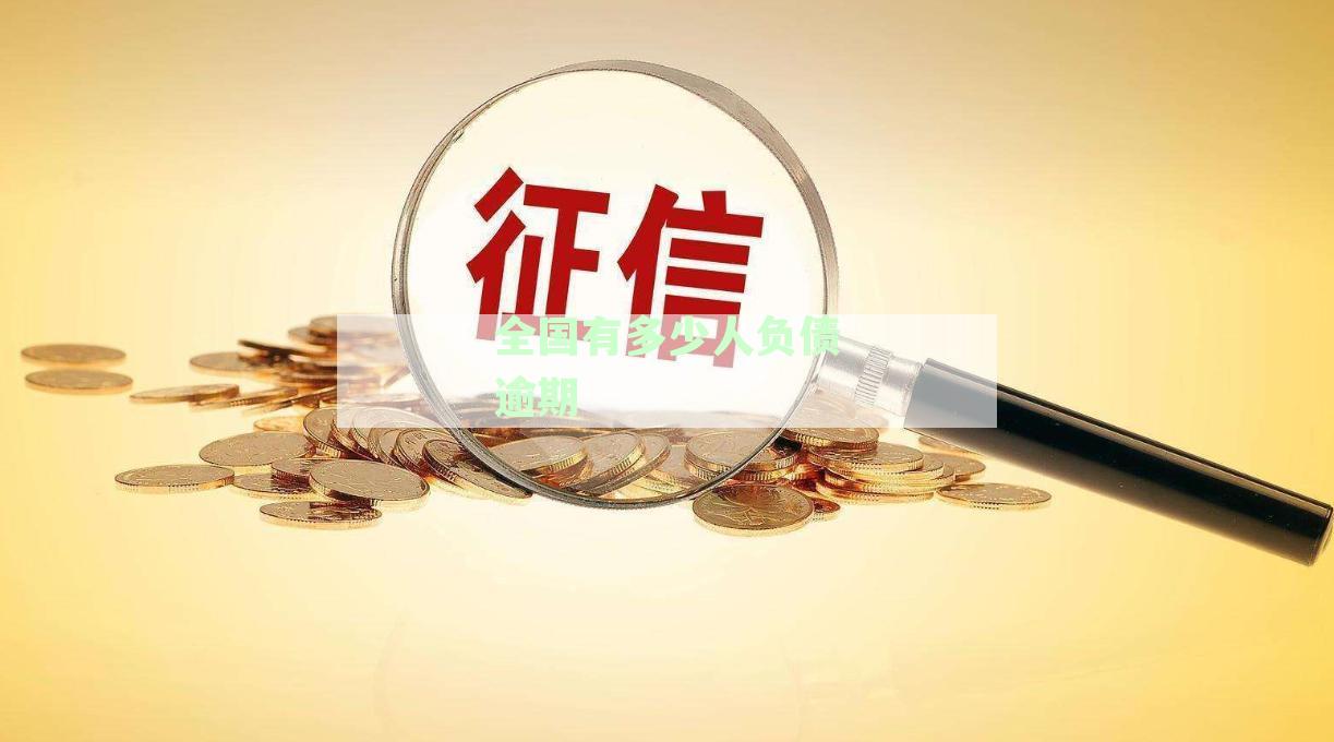 全国有多少人负债逾期