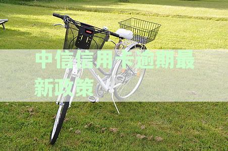 国家出台减免信用卡逾期政策：2023最新规定及文件概览