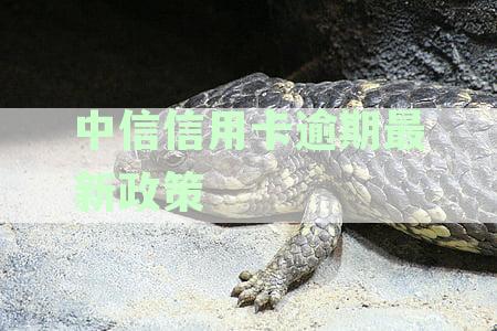 银行信用卡逾期最新政策披露