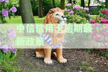 国家对信用卡逾期最新规定：文件、解读与客服电话