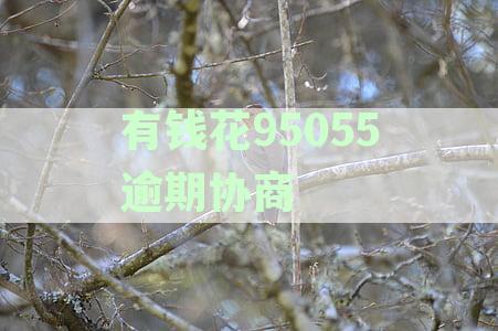 有钱花95055逾期协商