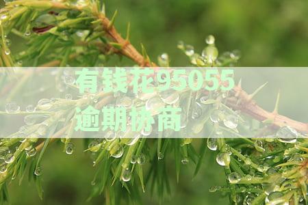 有钱花95055逾期协商