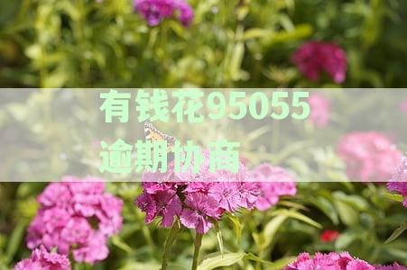 有钱花95055逾期协商