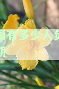 2021年中国有多少人负债逾期过一年：统计数据与分析