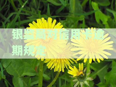 银监局对信用卡逾期规定1号令的规定详解