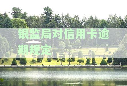银监局对信用卡逾期规定196条的处罚与处理方式