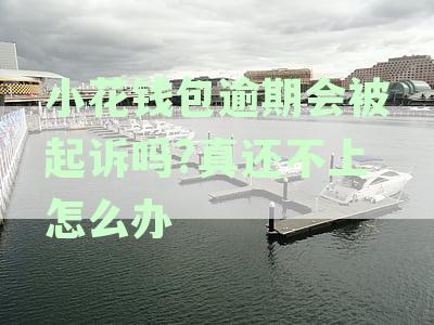 小花钱包逾期会被起诉吗真还不上怎么办信用受损如何挽救