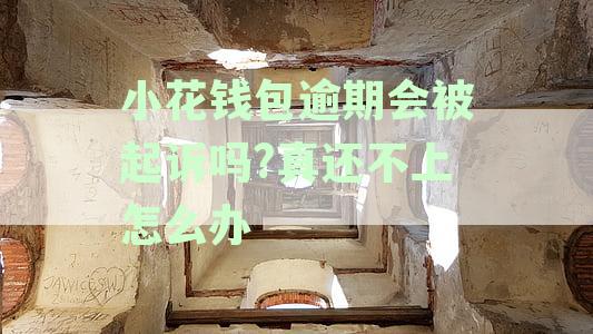 小花钱包逾期会被起诉吗?真还不上怎么办