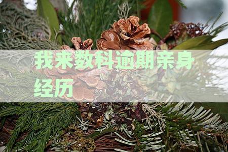 我来数科逾期亲身经历2021年：欠款处理与金融服务体验分析