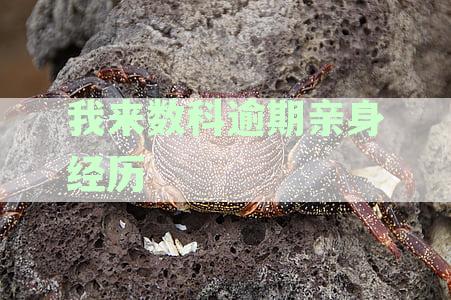 我来数科逾期亲身经历
