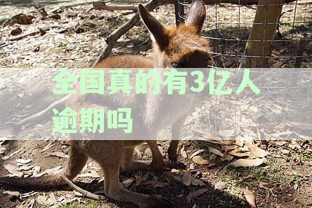 全国三亿人逾期：真的国家不管吗？逾期人数详解