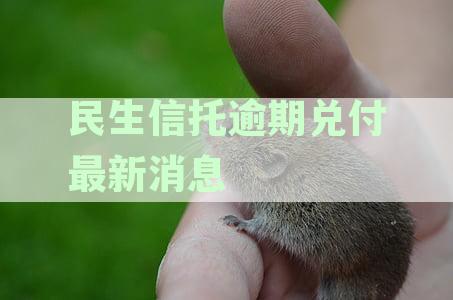 民生信托逾期兑付最新消息2023年8月：7月及之前情况更新