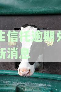 民生信托逾期兑付最新消息通知：民生信托逾期兑付最新动态