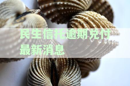民生信托逾期兑付最新消息：万达场316目兑付风险
