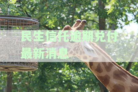 民生信托逾期兑付最新消息