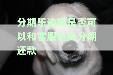 分期乐逾期了可以协商重新分期吗:协商分期还款、第二次分期、期还款可能性