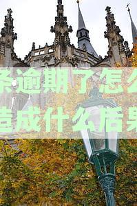 白条逾期了会有啥后果：了解逾期的影响