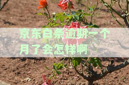 逾期一个月了会怎样啊会上征信吗：逾期影响与后果