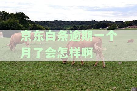 白条逾期10天能补救吗:逾期20天解决方案