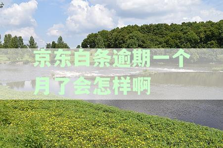 白条逾期20天能补救吗？逾期6天就爆通讯录了！