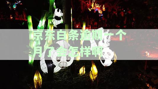 逾期一个月了会怎样啊