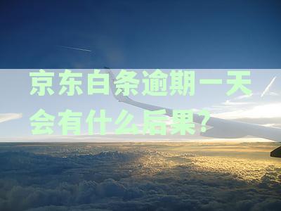 京东白条逾期一天会有什么后果?