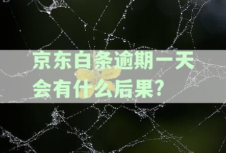 逾期一天有事吗：影响及解决办法全解析