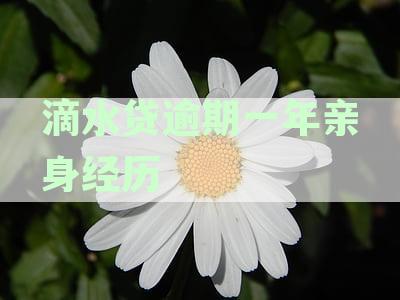 网贷逾期一年屁事都没有了:2020年论坛银行卡绑定问题解析