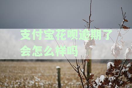 支付宝花呗逾期1天有事吗？花呗上说的三天宽限期是什么，怎么办？