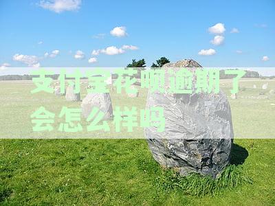 支付宝花呗逾期了会怎么样吗会被抓吗，安全吗，会不会坐牢