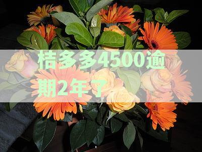 桔多多4500逾期2年了可以只还本金吗？解决逾期债务的法律途径和影响