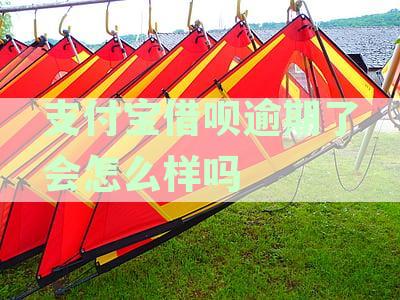 支付宝借呗逾期了会怎么样吗会冻结资产吗