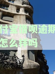 支付宝借呗逾期了会怎么样吗我爱卡使用受影响吗
